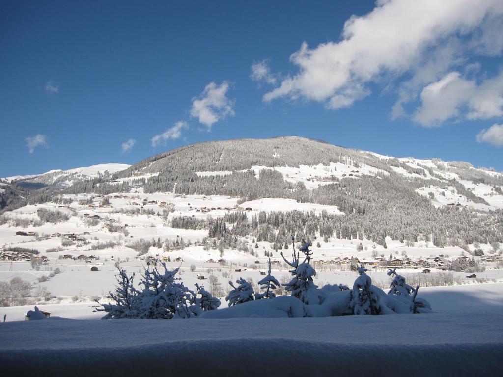 Fasserhof Bramberg am Wildkogel Quarto foto